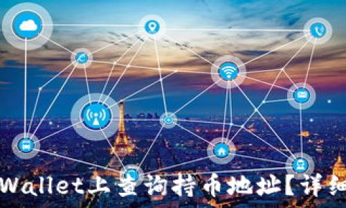   
如何在TPWallet上查询持币地址？详细操作指南