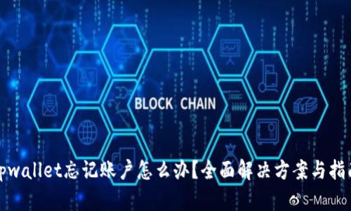 tpwallet忘记账户怎么办？全面解决方案与指南