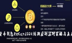 数字货币钱包ExCardSDK到期后的应对策略与未来展