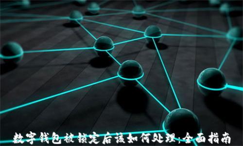 
数字钱包被锁定后该如何处理：全面指南