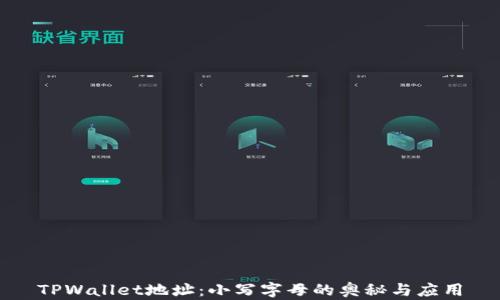 
TPWallet地址：小写字母的奥秘与应用
