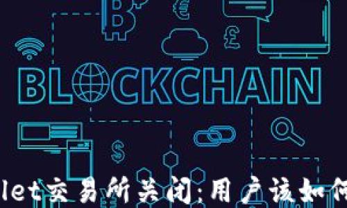 
TPWallet交易所关闭：用户该如何应对？