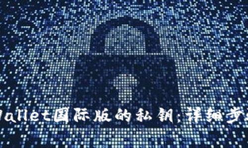 如何找回TPWallet国际版的私钥:详细步骤和注意事项