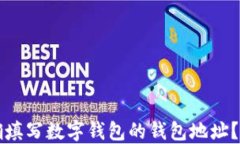 如何正确填写数字钱包的钱包地址？实用指南
