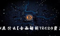 TPWallet的TRX是什么？全面解析TRC20资产的优势与应