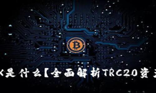 TPWallet的TRX是什么？全面解析TRC20资产的优势与应用