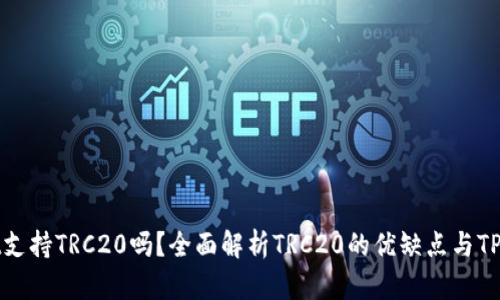 ### TPWallet支持TRC20吗？全面解析TRC20的优缺点与TPWallet的兼容性