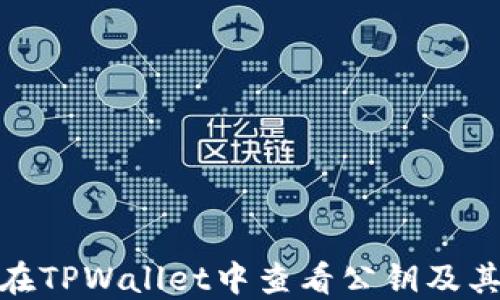 
如何在TPWallet中查看公钥及其用途