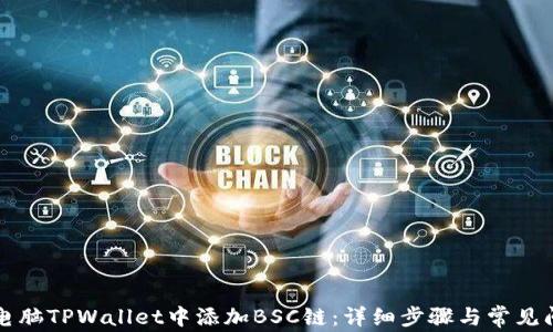 如何在电脑TPWallet中添加BSC链:详细步骤与常见问题解析
