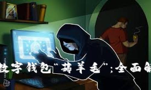 如何通过人民数字钱包“薅羊毛”：全面解析与实用技巧