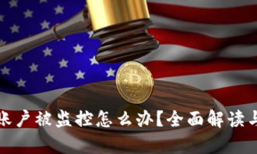 tpwallet账户被监控怎么办？全面解读与解决方案