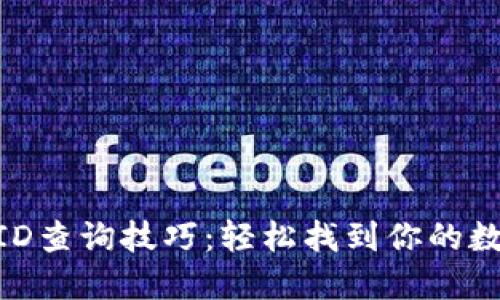 数字钱包ID查询技巧：轻松找到你的数字钱包ID
