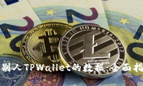 如何查看别人TPWallet的数据：全面指导与技巧