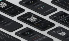 如何应对TPWallet价格过高的问题？