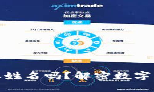 数字钱包转折需要姓名吗？解密数字钱包的安全与隐私