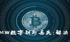 如何应对BMW数字钥匙丢失：解决方案与建议