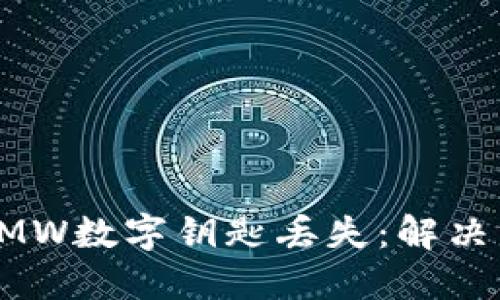 如何应对BMW数字钥匙丢失：解决方案与建议