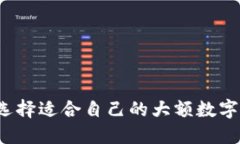 如何选择适合自己的大额数字钱包？