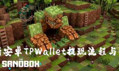 全面解析安卓TPWallet提现流程与注意事项
