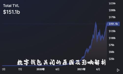 数字钱包关闭的原因及影响解析