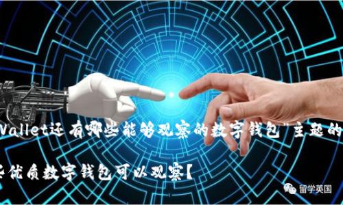 当然可以！以下是针对“除了TPWallet还有哪些能够观察的数字钱包”主题的内容大纲和各部分内容的建议。

### 除了TPWallet，还有哪些优质数字钱包可以观察？