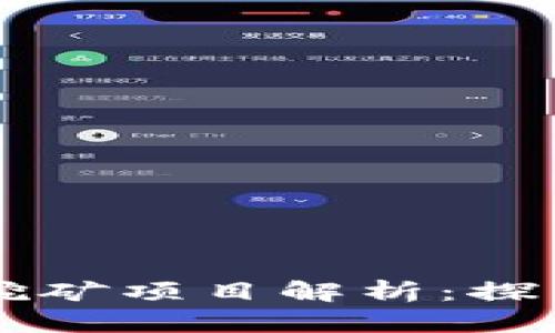 : TPWallet上的挖矿项目解析:探索数字资产的潜能
