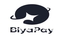 区块链银行钱包的安全性解析：你需要知道的5个