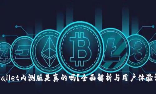 tpwallet内测版是真的吗？全面解析与用户体验评测