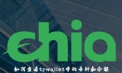 如何查看tpwallet中的币种和余额