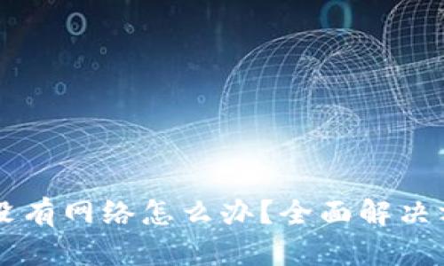 TPWallet突然没有网络怎么办？全面解决方案与操作指南