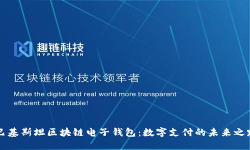 巴基斯坦区块链电子钱包：数字支付的未来之路