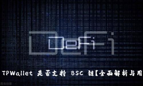 ### TPWallet 是否支持 BSC 链？全面解析与用户指南