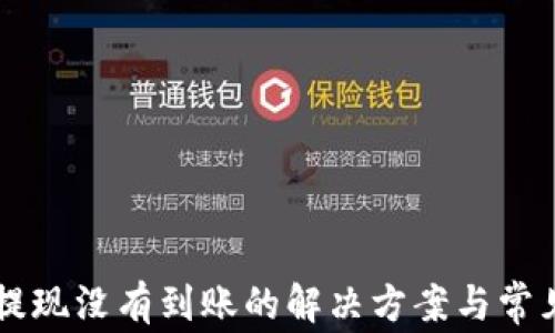 
TPWallet提现没有到账的解决方案与常见问题解析
