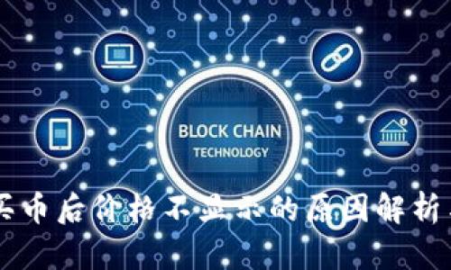 TPWallet买币后价格不显示的原因解析与解决方法